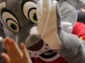 Gross-IMG_0324