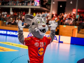 Frauen Handball Freundschaftsspiel Österreich - Brasilien am Samstag, 20. September 2025 in Tulln.