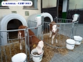 Camp-2012_103.jpg