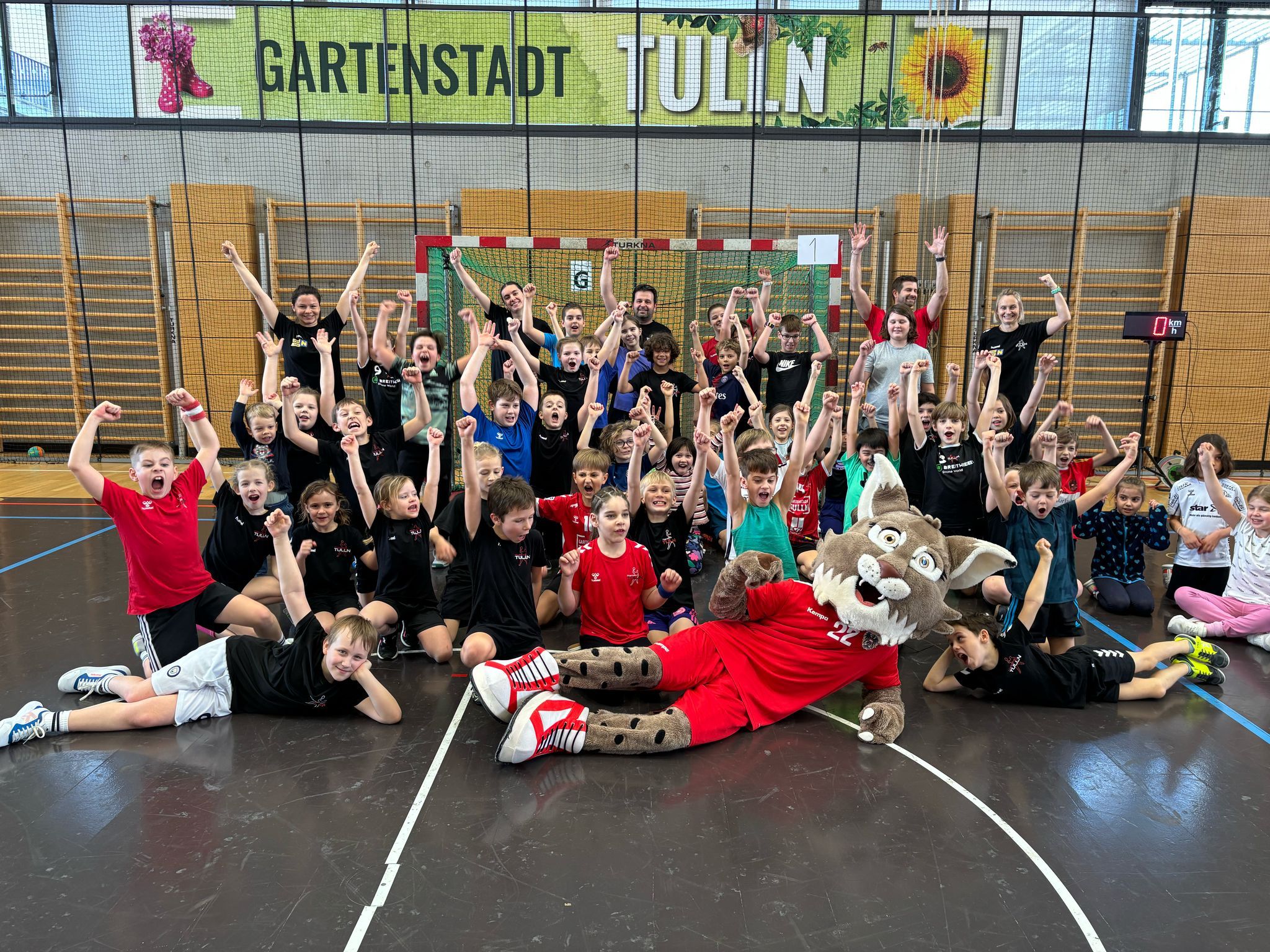 Handballfest des UHC Tulln